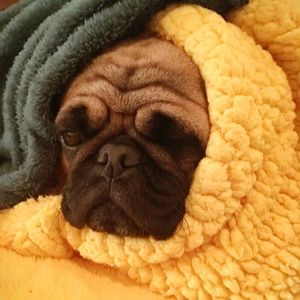 Meet your Posher, Cathy